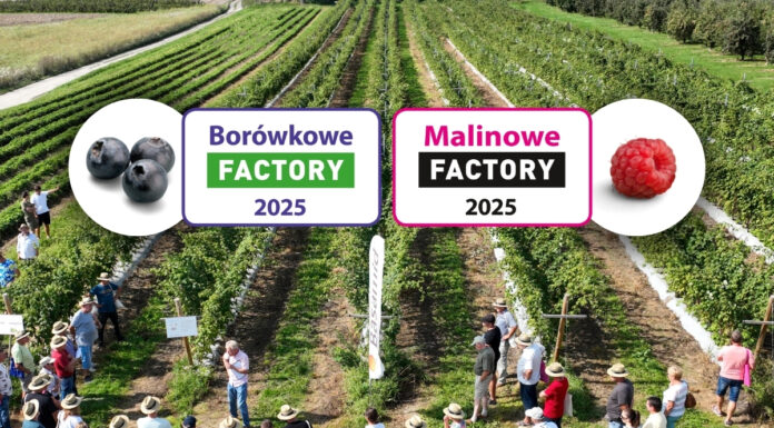 Jagodowe wydarzenia września – Borówkowe i Malinowe Factory w Karczmiskach!