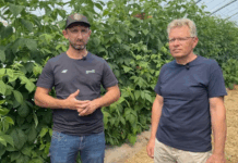 Poprawa kondycji malin dzięki biopreparatom – doświadczenia z gospodarstwa w Karczmiskach