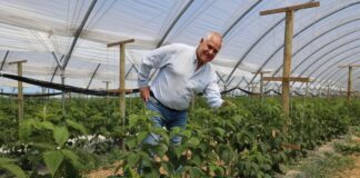 Mikroorganizmy w walce ze zmęczeniem gleby