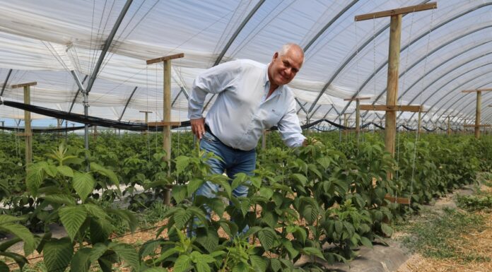 Mikroorganizmy w walce ze zmęczeniem gleby