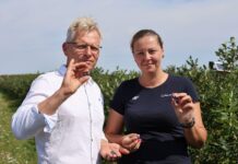 Dobry moment na wsparcie borówek przed zimą. Budujemy plon na kolejny sezon