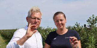 Dobry moment na wsparcie borówek przed zimą. Budujemy plon na kolejny sezon