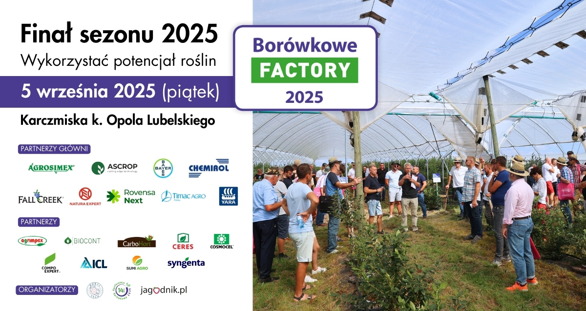 Borówkowe Factory 2025_vo