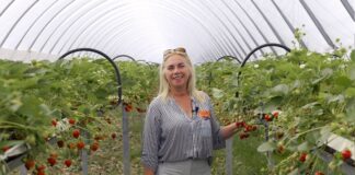 Skuteczna biologia w trudnym sezonie 2025. Plantacja Doroty Schewior