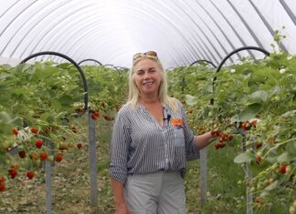 Skuteczna biologia w trudnym sezonie 2025. Plantacja Doroty Schewior