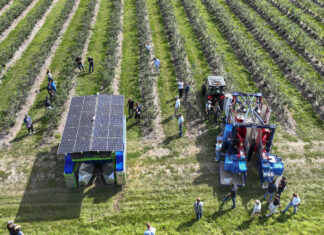 Testy kombajnów do zbioru borówki w Parczewie: FineField kontra JPS Jagoda