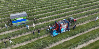 FineField kontra Jagoda JPS – dwa oblicza mechanicznego zbioru borówki