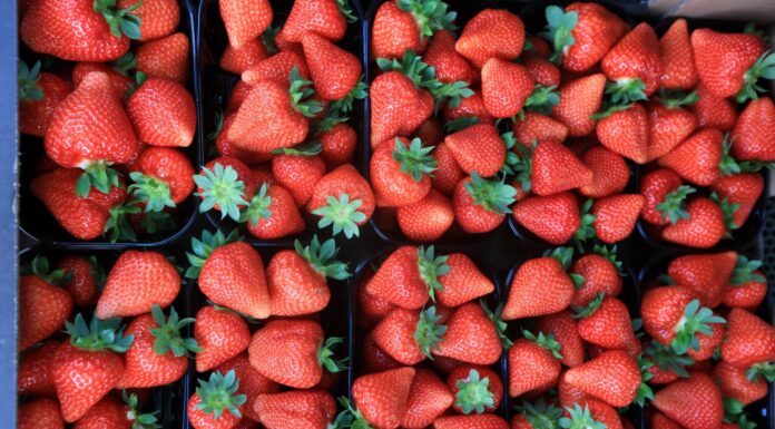Globalny handel truskawkami: dynamiczny wzrost