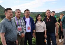 Maliny przemysłowe – kondycja światowego rynku na dzień 26 sierpnia 2025 roku