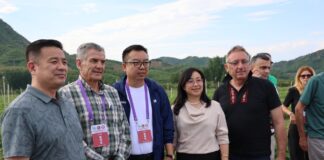 Maliny przemysłowe – kondycja światowego rynku na dzień 26 sierpnia 2025 roku