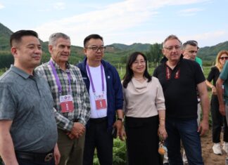 Maliny przemysłowe – kondycja światowego rynku na dzień 26 sierpnia 2025 roku