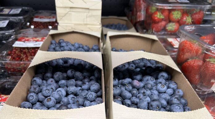 Świat chce więcej borówek – zwłaszcza Ameryka Północna i Europa