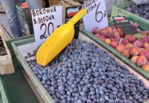 Sprawdzamy ceny borówek w hurcie i detalu (05.08.2025) ceny borówek, borówki, borówka wysoka ceny, borówka amerykańska ceny