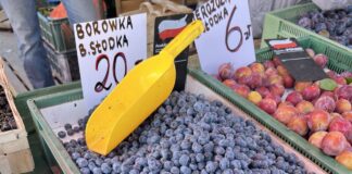 Sprawdzamy ceny borówek w hurcie i detalu (05.08.2025) ceny borówek, borówki, borówka wysoka ceny, borówka amerykańska ceny