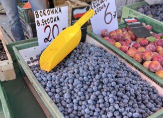 Sprawdzamy ceny borówek w hurcie i detalu (05.08.2025) ceny borówek, borówki, borówka wysoka ceny, borówka amerykańska ceny