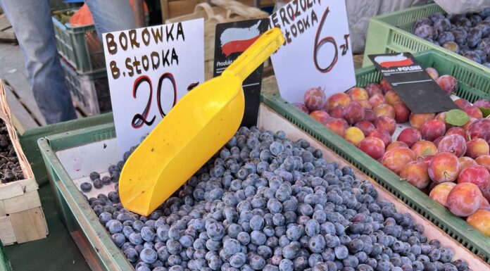 Sprawdzamy ceny borówek w hurcie i detalu (05.08.2025) ceny borówek, borówki, borówka wysoka ceny, borówka amerykańska ceny
