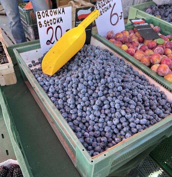 ceny borówek, borówki, borówka wysoka ceny, borówka amerykańska ceny