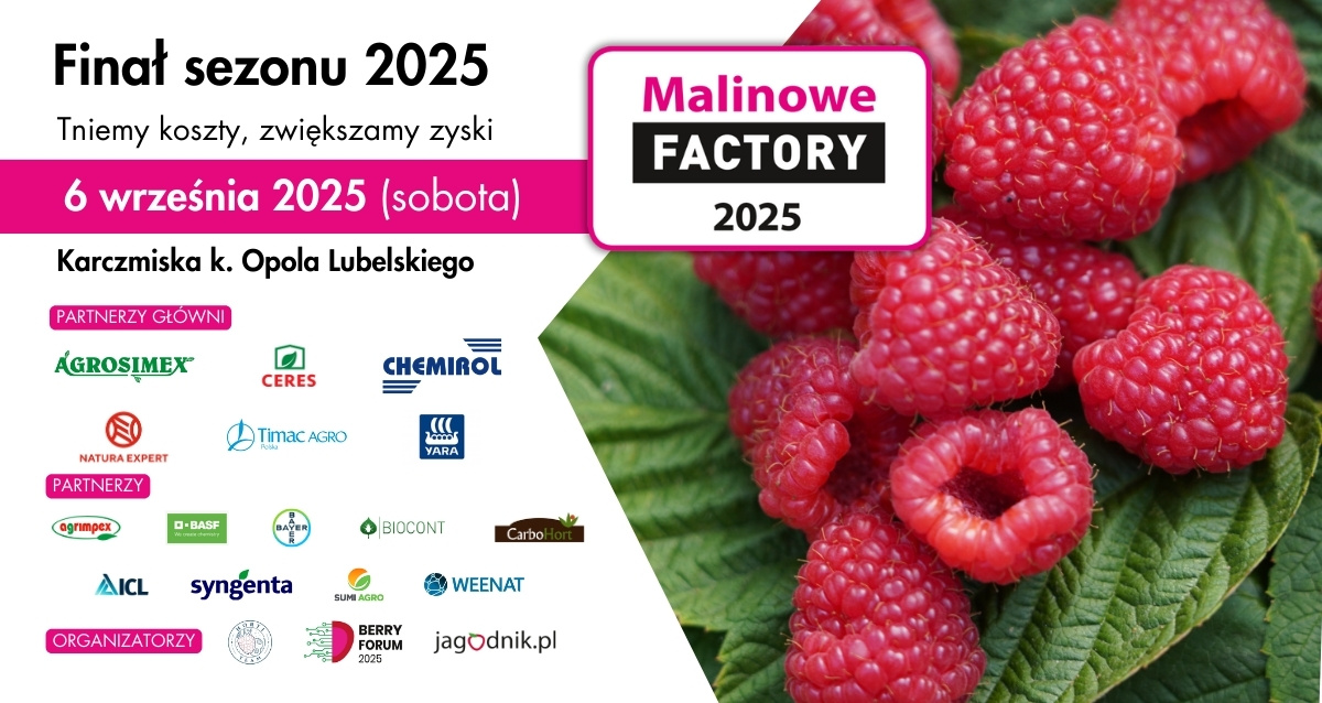 Malinowe Factory 2025_vo uprawa malin Malinowe Factory 2025