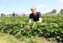 Red Himalaya, Marly, Duchesse i Marvella – truskawki od Kaack w projekcie „Truskawkowe Inspiracje”