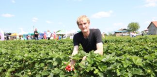 Red Himalaya, Marly, Duchesse i Marvella – truskawki od Kaack w projekcie „Truskawkowe Inspiracje”