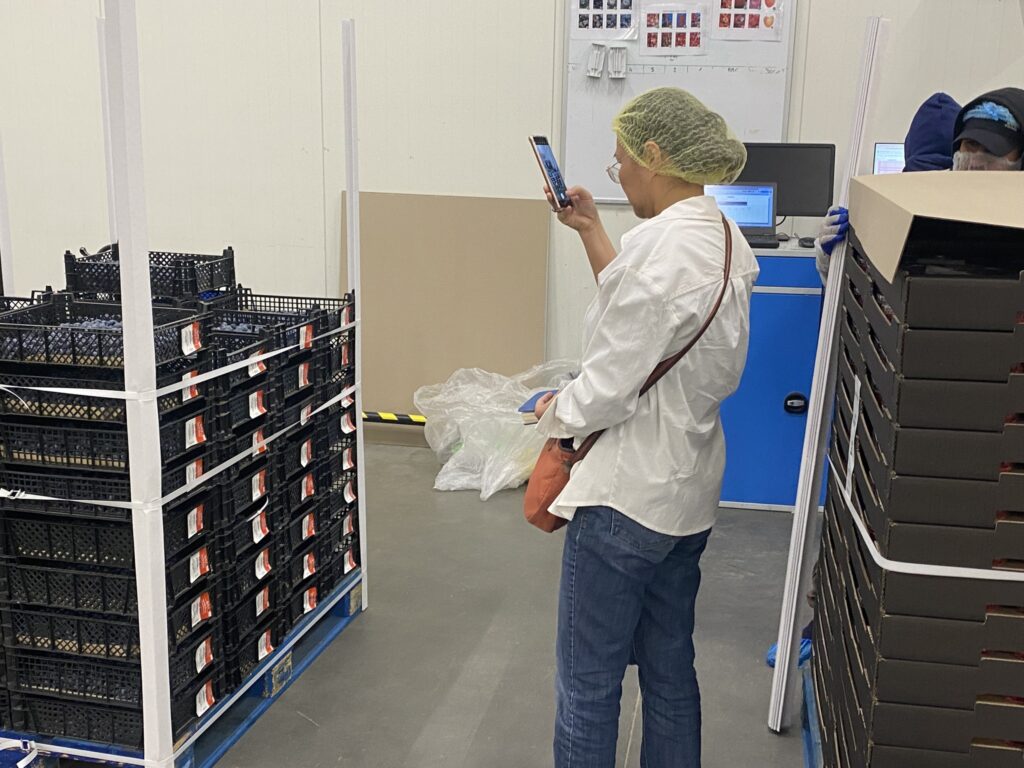 PIORiN, Wietnam, eksport borówki do wietnamu