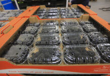 Jeżyny deserowe w Agronom Berries. Sweet Royale i Von zaskakują plonem i jakością