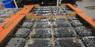 Jeżyny deserowe w Agronom Berries. Sweet Royale i Von zaskakują plonem i jakością