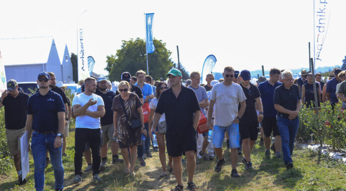 Borówkowe Factory 2025 – podsumowanie sezonu i kierunki rozwoju uprawy borówki