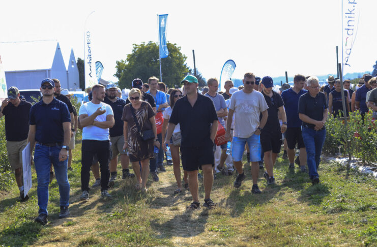 Borówkowe Factory 2025 – podsumowanie sezonu i kierunki rozwoju uprawy borówki