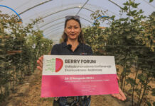 Berry Forum 2025 – II Międzynarodowa Konferencja Truskawkowo-Malinowa już w listopadzie!