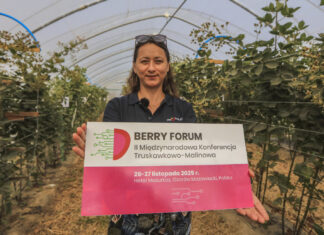 Berry Forum 2025 – II Międzynarodowa Konferencja Truskawkowo-Malinowa już w listopadzie!