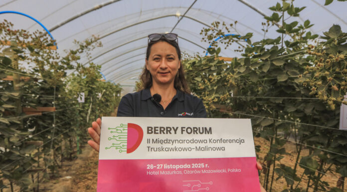 Berry Forum 2025 – II Międzynarodowa Konferencja Truskawkowo-Malinowa już w listopadzie!
