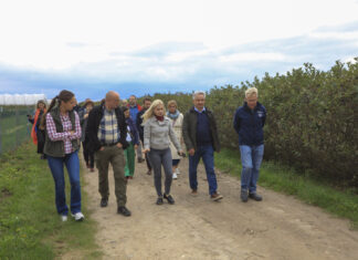 Zrozumieć branżę. Urzędnicy z wizytą w gospodarstwach jagodowych