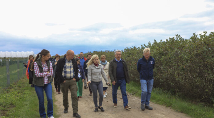 Zrozumieć branżę. Urzędnicy z wizytą w gospodarstwach jagodowych