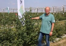 Julietta – nowoczesne rozwiązanie w ochronie borówki