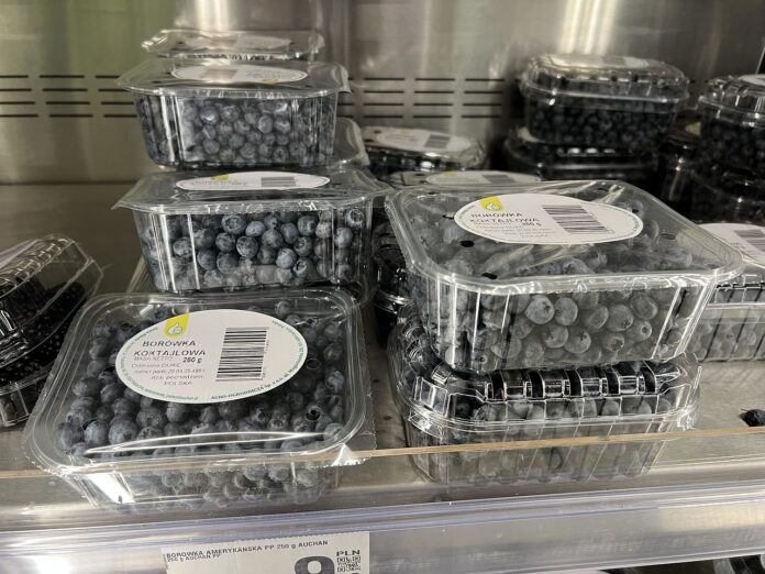 ceny borówek
