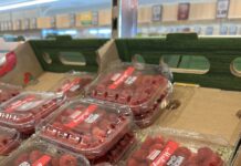 Ceny malin jesiennych pod koniec września – hurt i detal