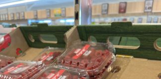 Ceny malin jesiennych pod koniec września – hurt i detal