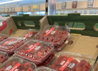 Ceny malin jesiennych pod koniec września – hurt i detal