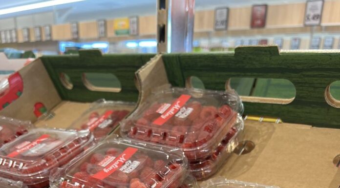 Ceny malin jesiennych pod koniec września – hurt i detal