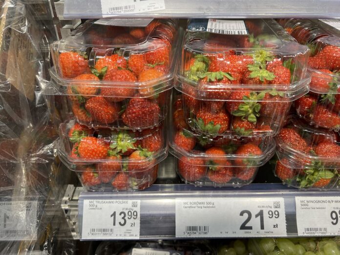 IMG_9528_09_30_2025 truskawki, ceny truskawek powtarzających owocowanie