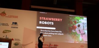 Międzynarodowy Kongres Truskawkowy 2025 w Antwerpii – CRISP i AI