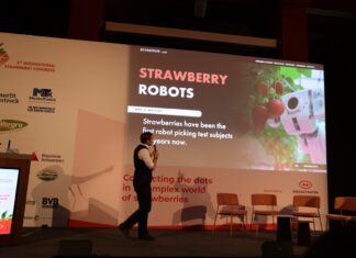 Międzynarodowy Kongres Truskawkowy 2025 w Antwerpii – CRISP i AI