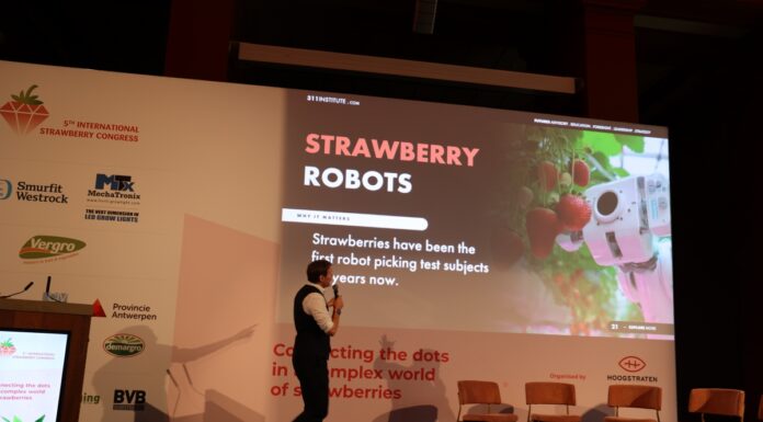 Międzynarodowy Kongres Truskawkowy 2025 w Antwerpii – CRISP i AI