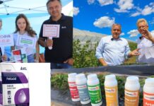 Jagodowe wydarzenia września 2025 pełne atrakcji dla uczestników. Produkty za 500 zł dla każdego!