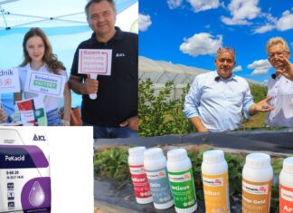 Jagodowe wydarzenia września 2025 pełne atrakcji dla uczestników. Produkty za 500 zł dla każdego!