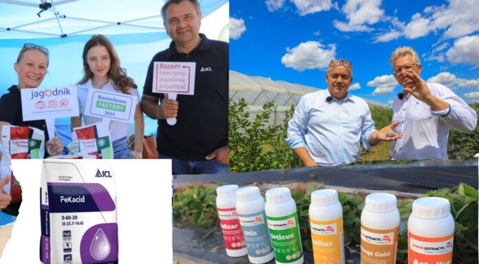 Jagodowe wydarzenia września 2025 pełne atrakcji dla uczestników. Produkty za 500 zł dla każdego!