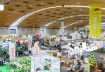 expoSE & expoDirekt 2025 już w listopadzie w Karlsruhe Targi ExpoSE