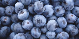 Borówki z Peru – jakość decyduje o cenie borówki z peru, zimbabwe