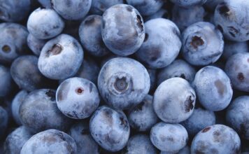 Plantatorzy borówki z Zimbabwe chcą zwiększać eksport do Chin borówki z peru, zimbabwe